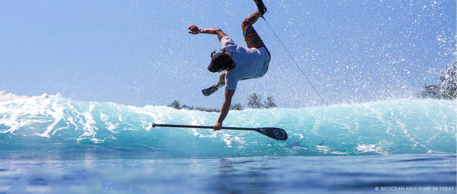 Home Elite Carbone 2017 - 01